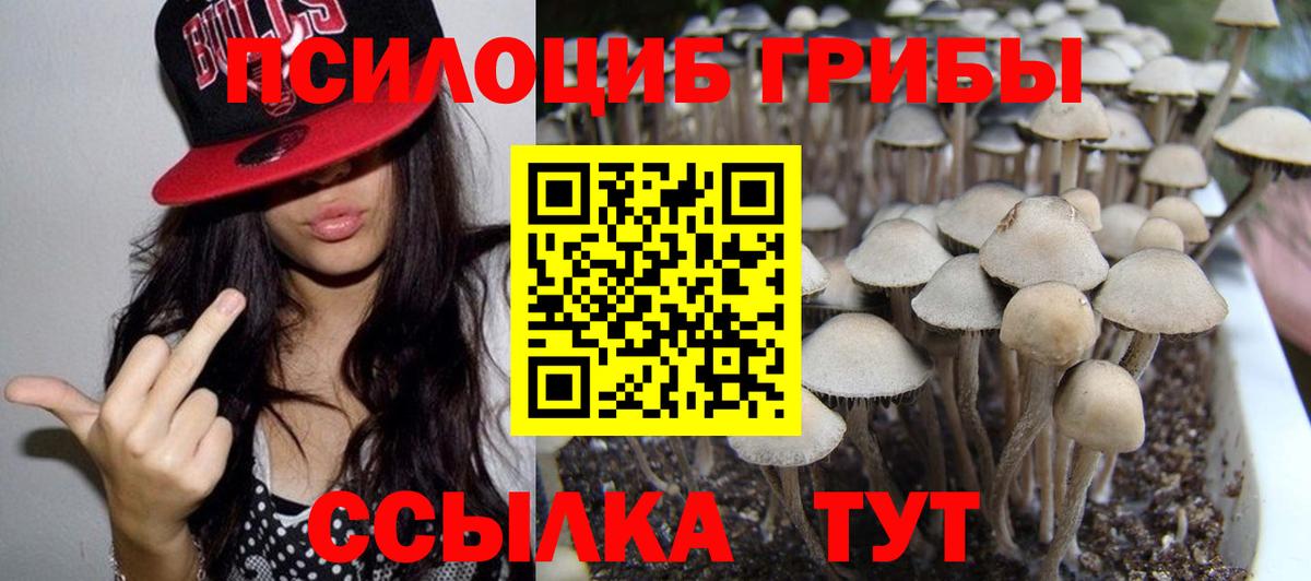 Галлюциногенные грибы ЛСД  Псилоцибиновые грибы MAGIC MUSHROOMS  Коркино  Вход с VPN 
