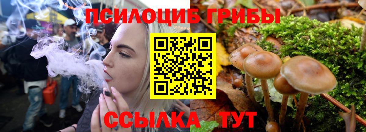 Псилоцибиновые грибы Magic Shrooms Коркино