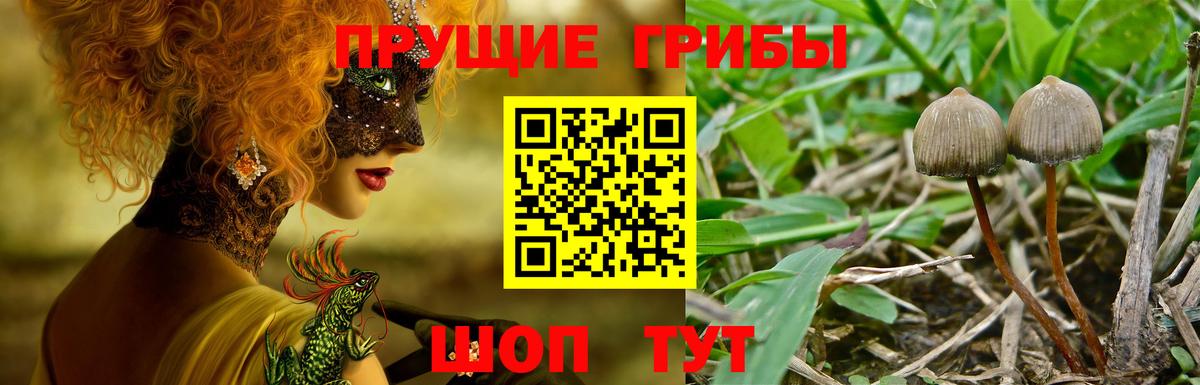 Псилоцибиновые грибы MAGIC MUSHROOMS Коркино
